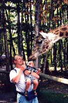 giraffe.gif (68650 octets)